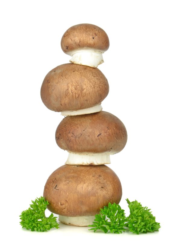 Mushrooms - Image 2