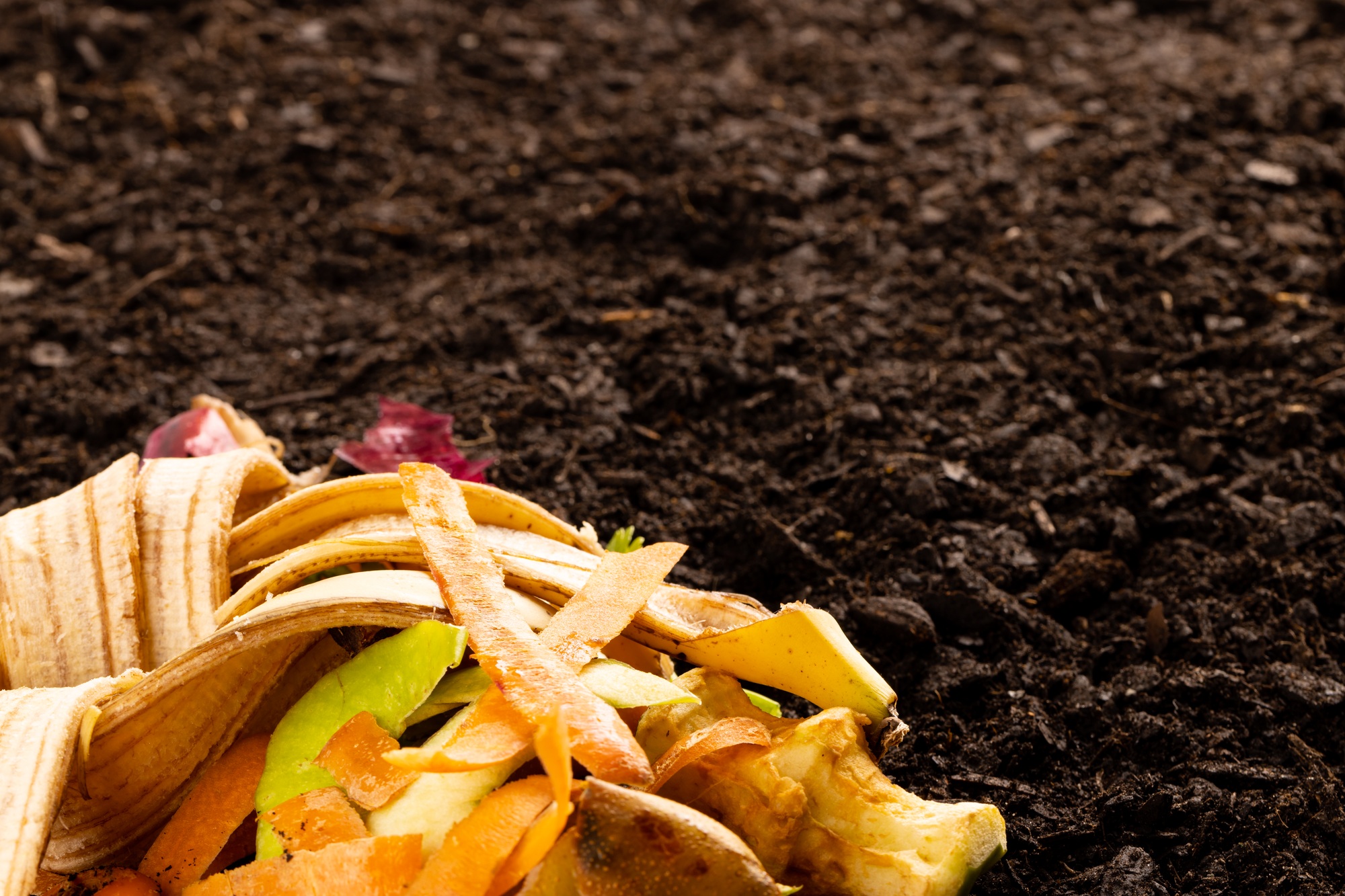 Organic fruit and vegetable waste for composting on dark soil, with copy space