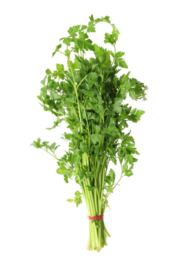 Parsley